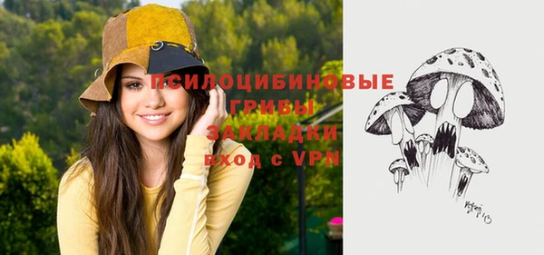 хмурый Наволоки