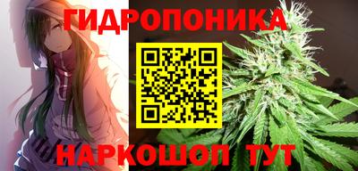 прущий лед Кингисепп
