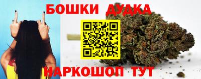 прущий лед Кингисепп