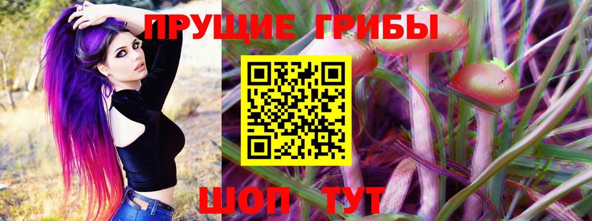 Псилоцибиновые грибы прущие грибы Моздок